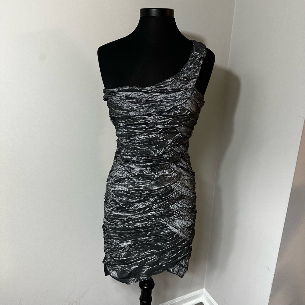 Daisy Textured Silver Dress in Size Large